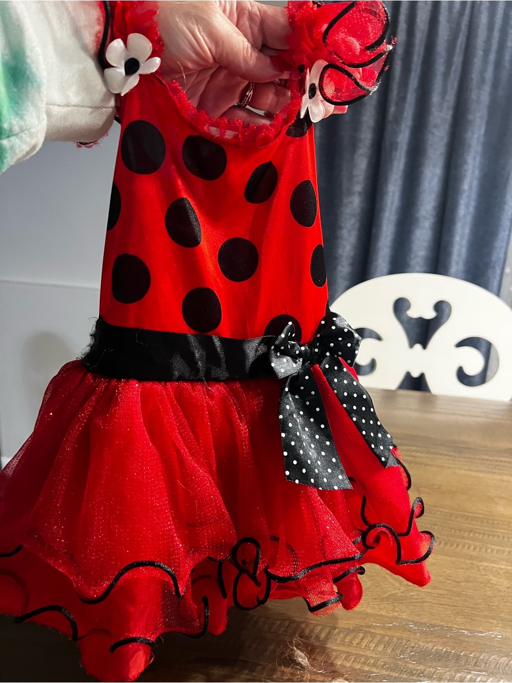 Kids Red and Black Ladybug Tutu Dress Costume - Playful Polka Dot Design